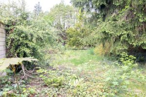 Blick in den Garten