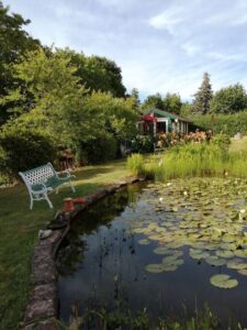 Gartenansicht Teich